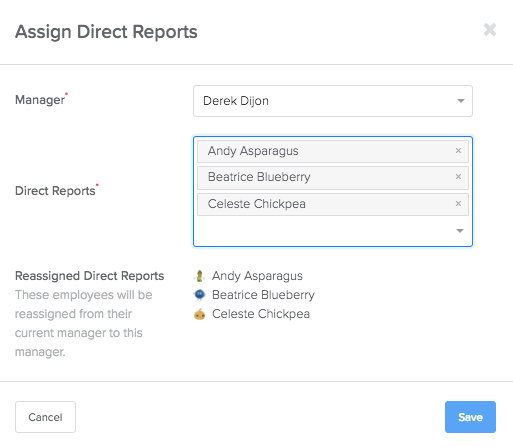 Manager Permissions Overview2